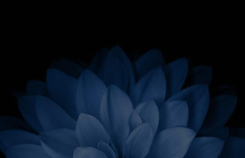 mobile phone and iphone repairs image