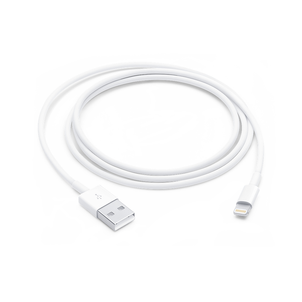 Apple Lightning Cable (1 Meter)